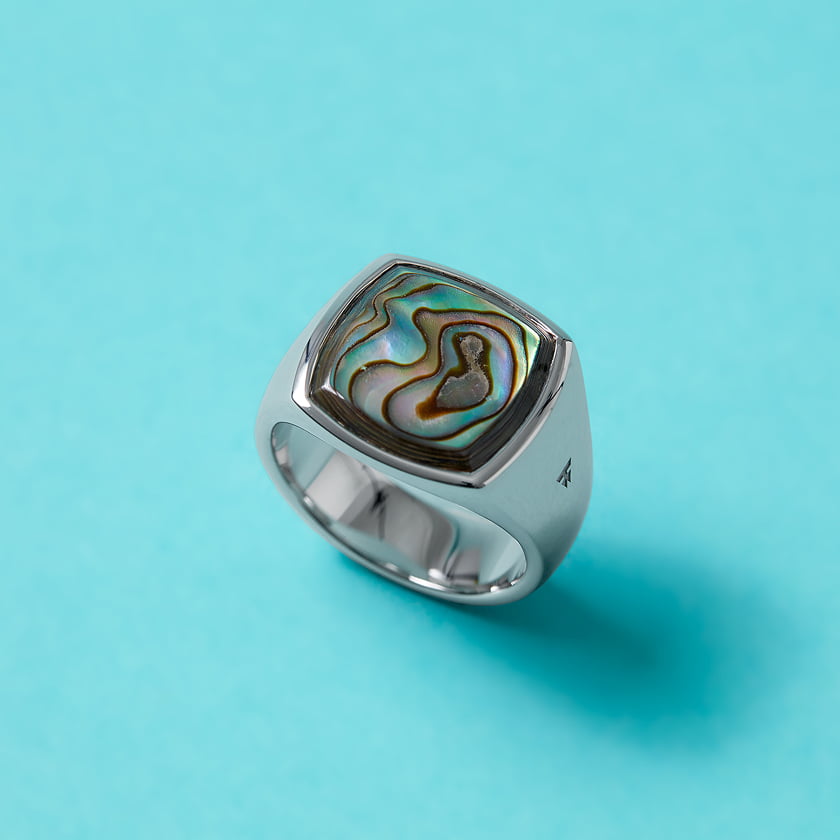 Le GRAND CLOSET de PARIGOT/MAN