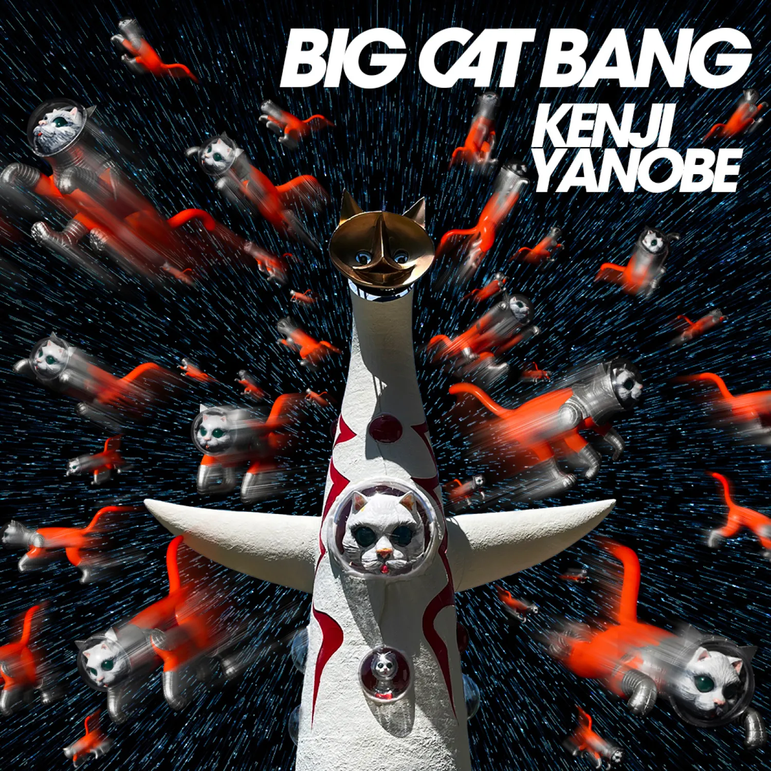 BIG CAT BANG image2