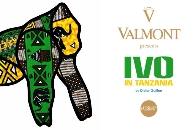 自由へと解き放たれたゴリラ – “アイボ“の旅 – GINZA SIX | GSIX